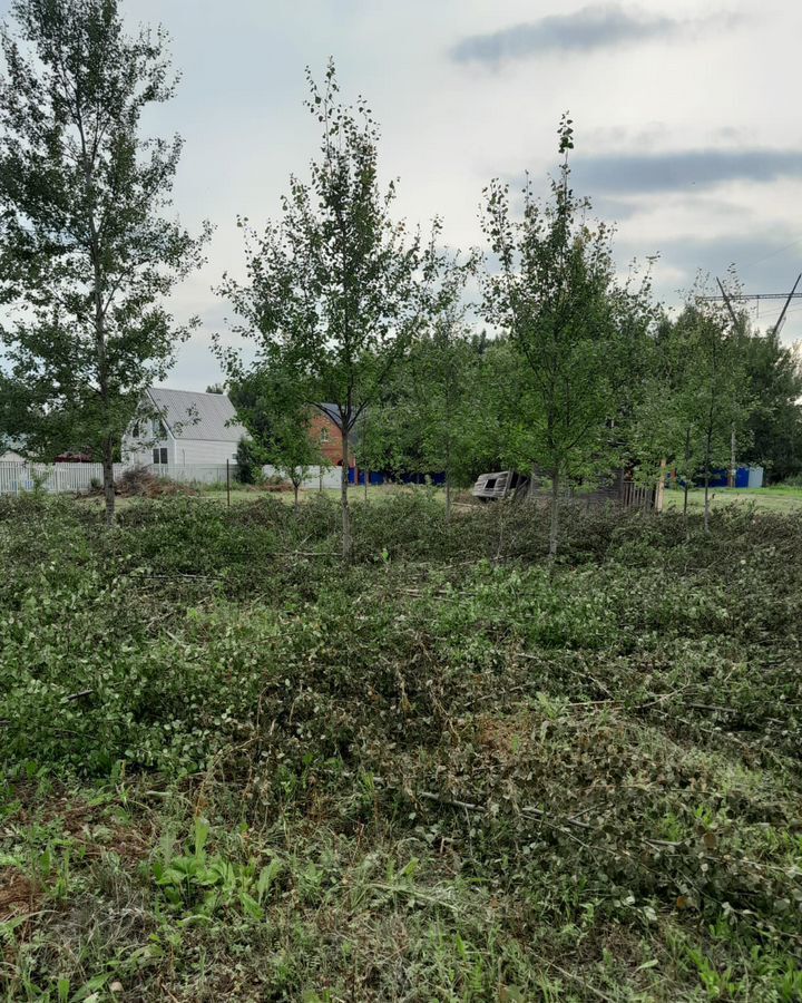 земля городской округ Богородский г Ногинск снт Ласточка 9754 км, 107, Электросталь, Носовихинское шоссе фото 5