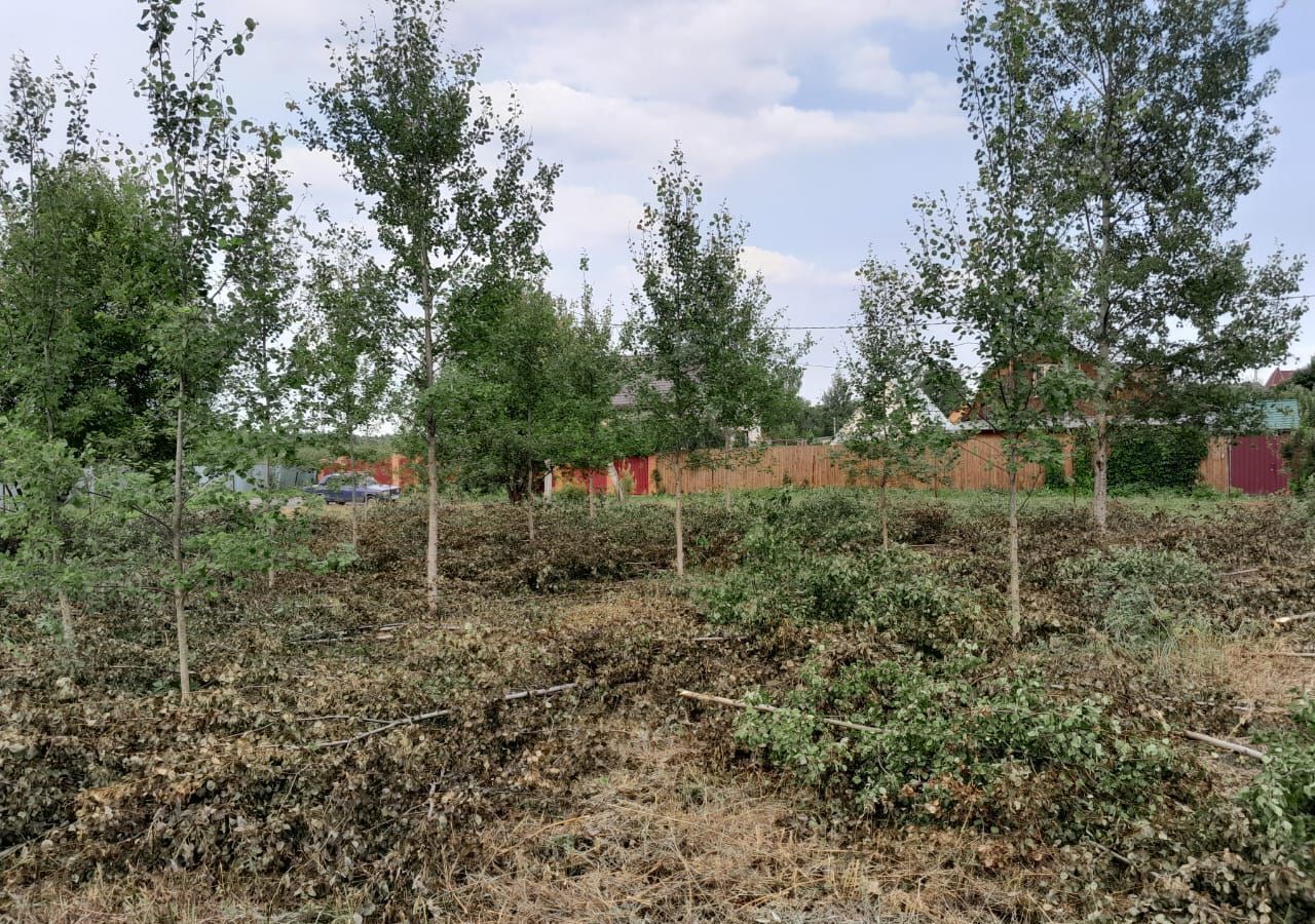 земля городской округ Богородский г Ногинск снт Ласточка 9754 км, 107, Электросталь, Носовихинское шоссе фото 16