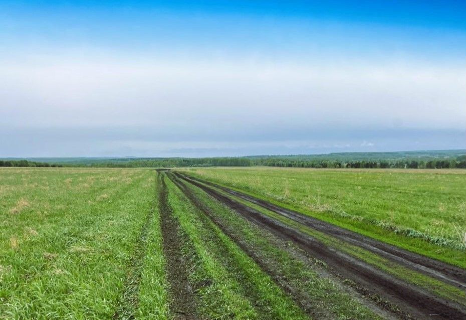 земля г Кемерово ул Тельбесская 1 Кемеровская обл. — Кузбасс, территория Городок, Кемеровский муниципальный округ фото 12