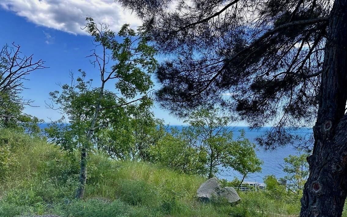 земля г Алушта с Лазурное ул Слуцкого 71а/2 фото 2