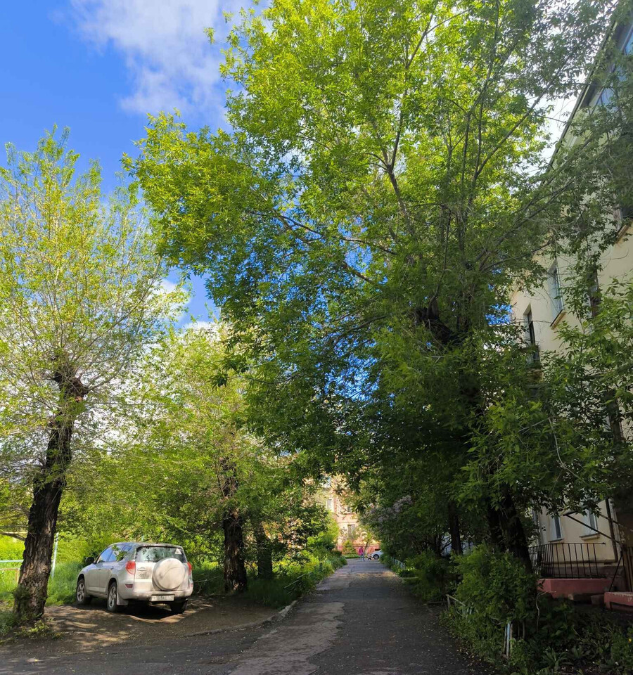 квартира г Магнитогорск ул Куйбышева 12 7-й б м-н фото 13