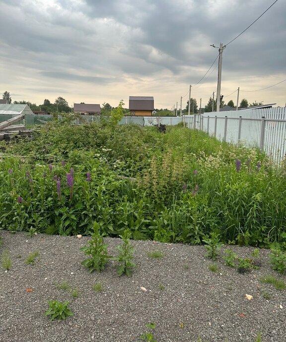 земля г Лосино-Петровский рп Свердловский территория СПК Родина фото 7