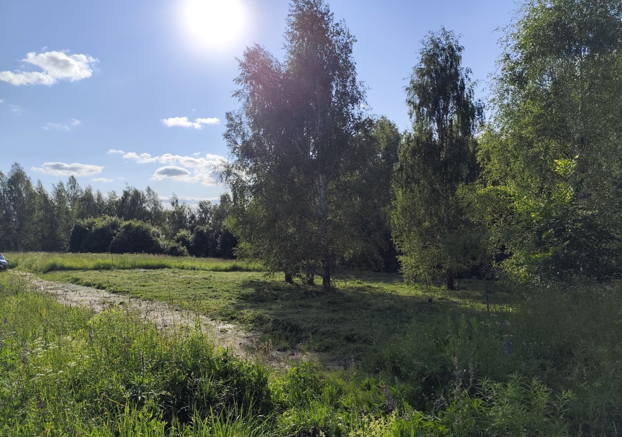 земля г Владимир с Кусуново р-н Октябрьский фото 15