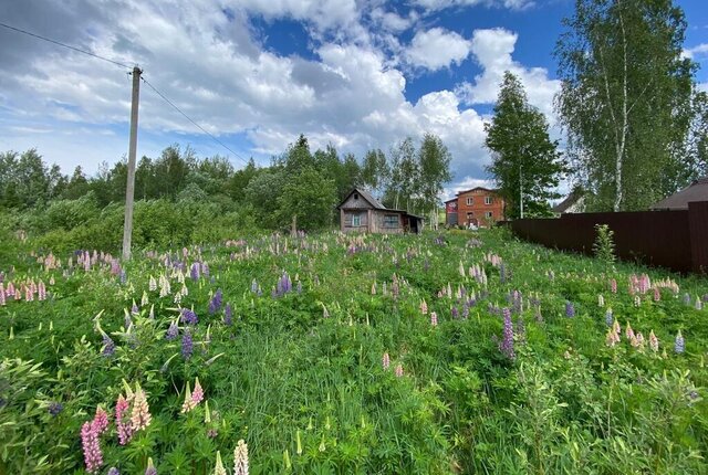 с Аксеново ул Новослободская фото