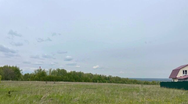 офис Серпухов городской округ фото