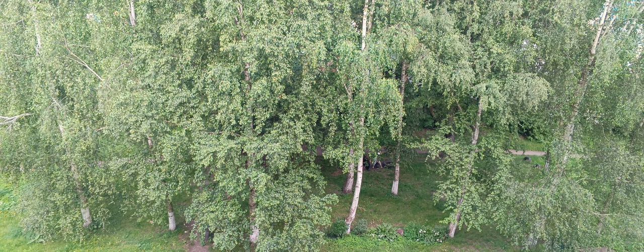 квартира г Калининград р-н Московский ул Павлика Морозова 17 фото 13