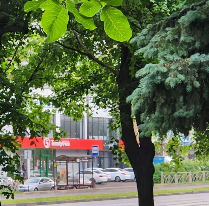 квартира г Ставрополь р-н Промышленный ул Лермонтова 271 фото 8