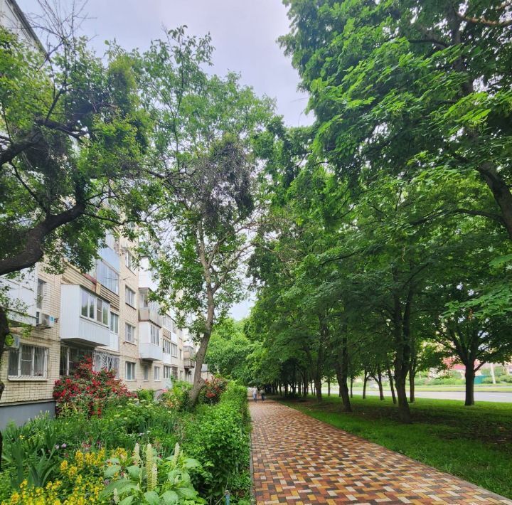 квартира г Ставрополь р-н Промышленный ул Лермонтова 271 фото 9