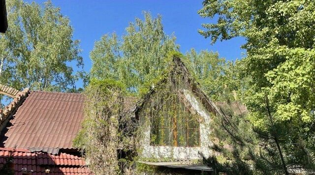 ш Ленинградское 81 Парнас фото
