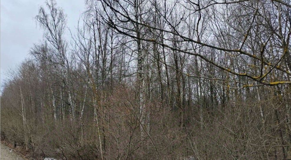 офис г Чехов фото 1