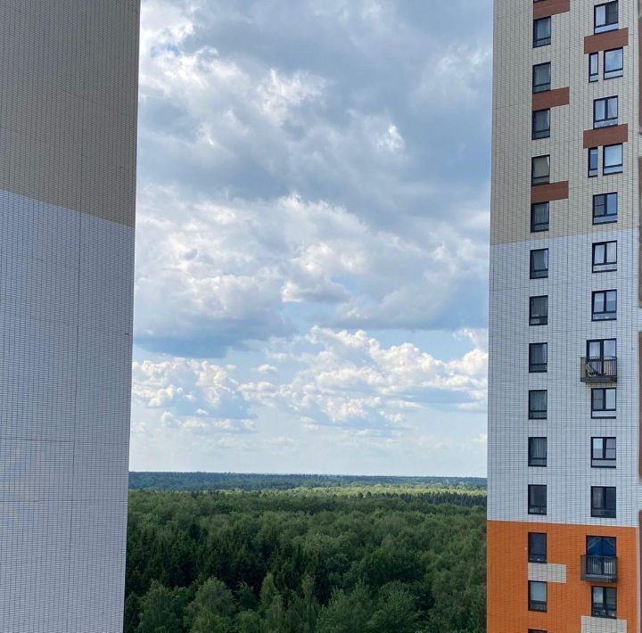 квартира г Красногорск ул Видная 3 Митино фото 20