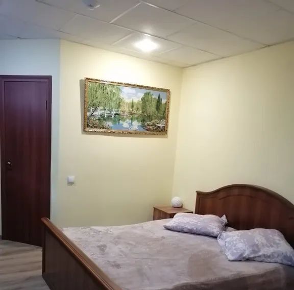 комната р-н Петровский г Петровск ул Московская 92б фото 4