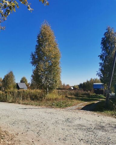 снт Мелиоратор Новолуговской сельсовет, Сосновая ул, Барышево фото