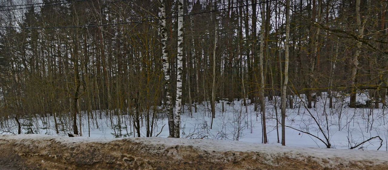 земля г Химки ул Академика Грушина 4 км, Дмитровское шоссе фото 5