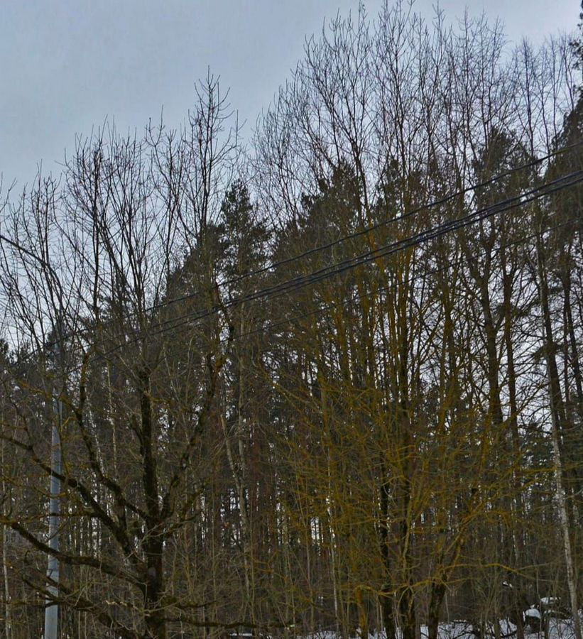 земля г Химки ул Академика Грушина 4 км, Дмитровское шоссе фото 6