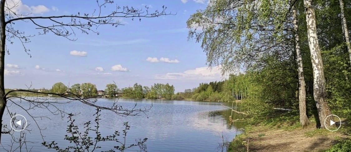 земля г Домодедово Лагри-Чулпаново тер., Подольск, 9 фото 10