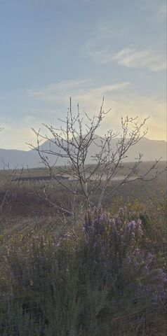 с Нижняя Кутузовка фото