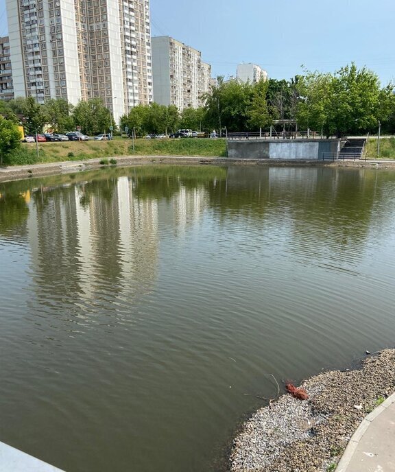 квартира г Москва метро Марьино проезд Батайский 43 фото 2