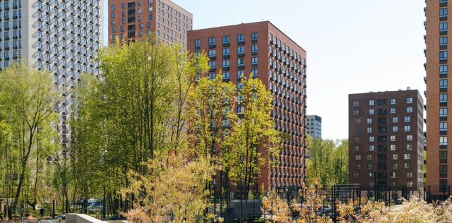 метро Молодежная ул Академика Павлова 56вл/1 фото