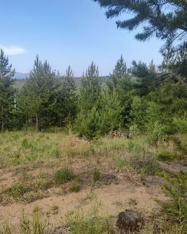 п Верхняя Березовка р-н Железнодорожный фото
