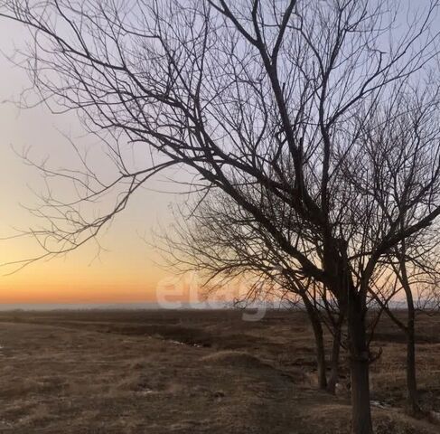 ул Школьная фото