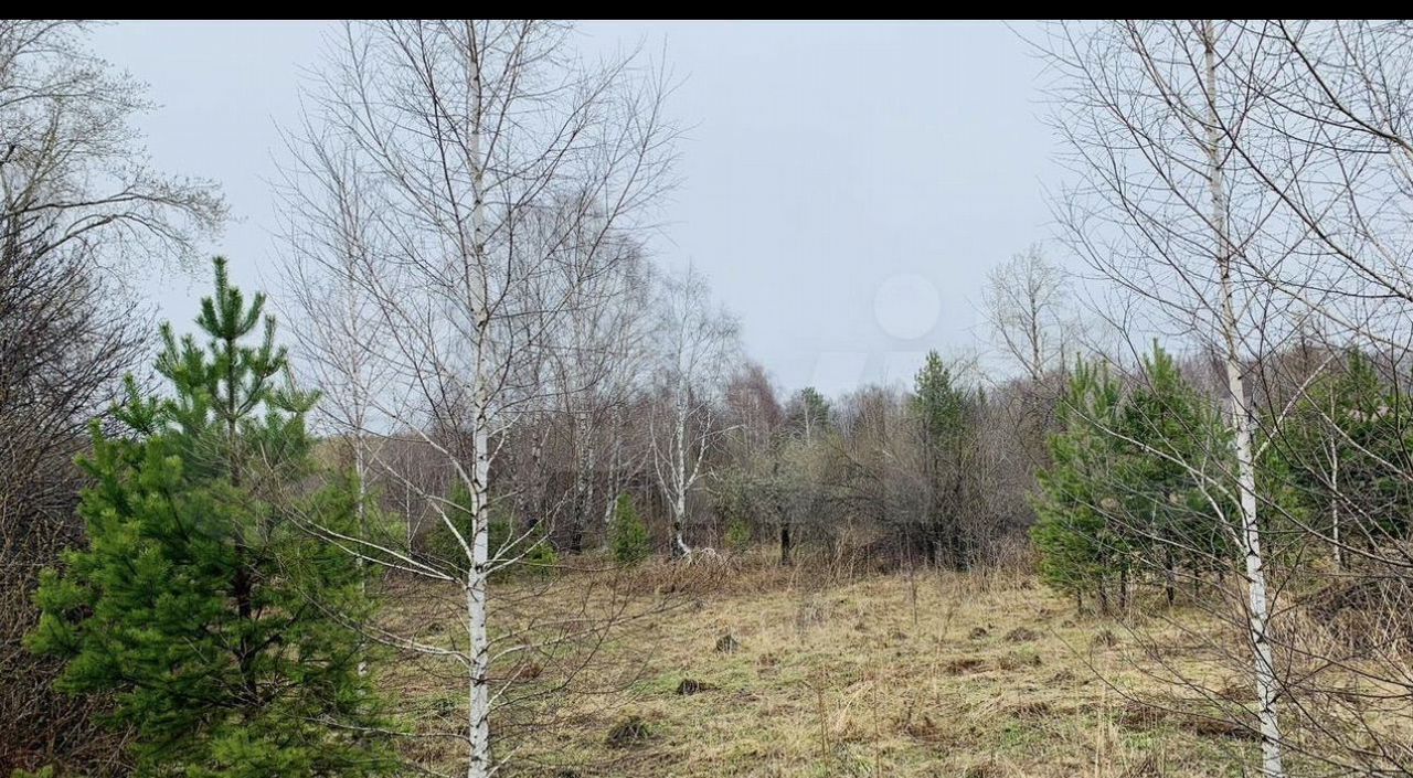 земля г Полевской п Красная Горка фото 3