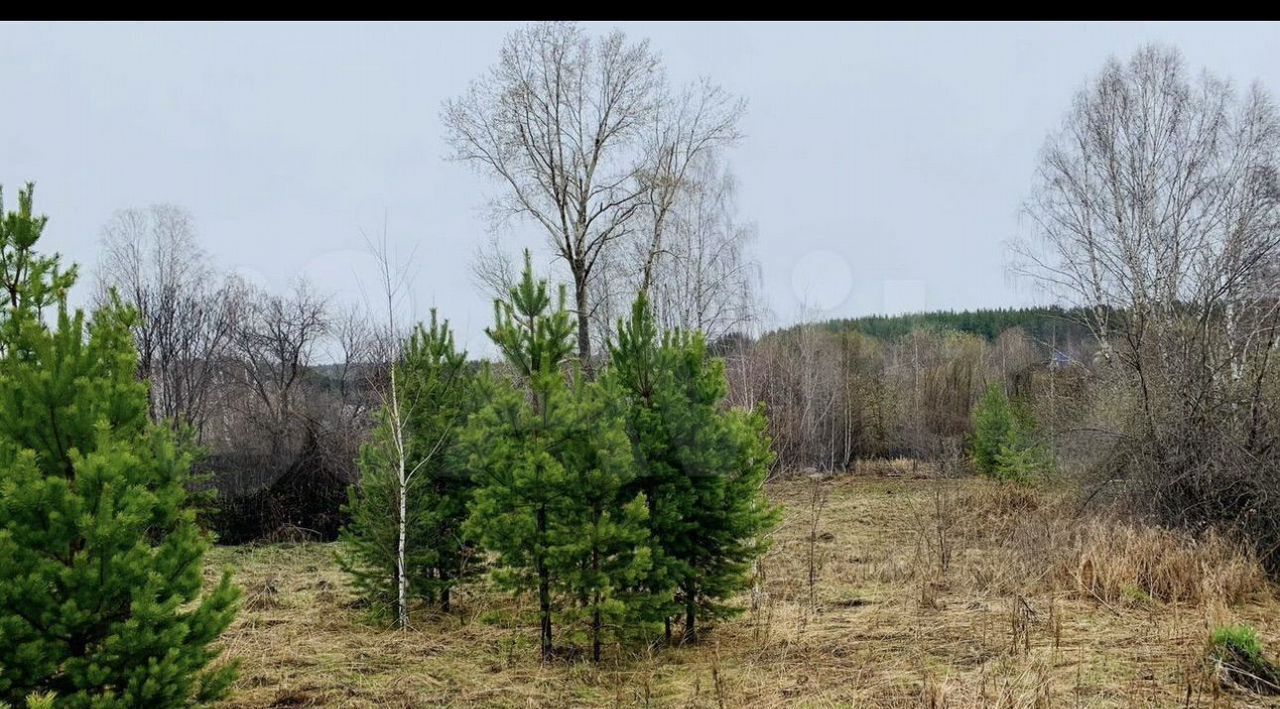 земля г Полевской п Красная Горка фото 4