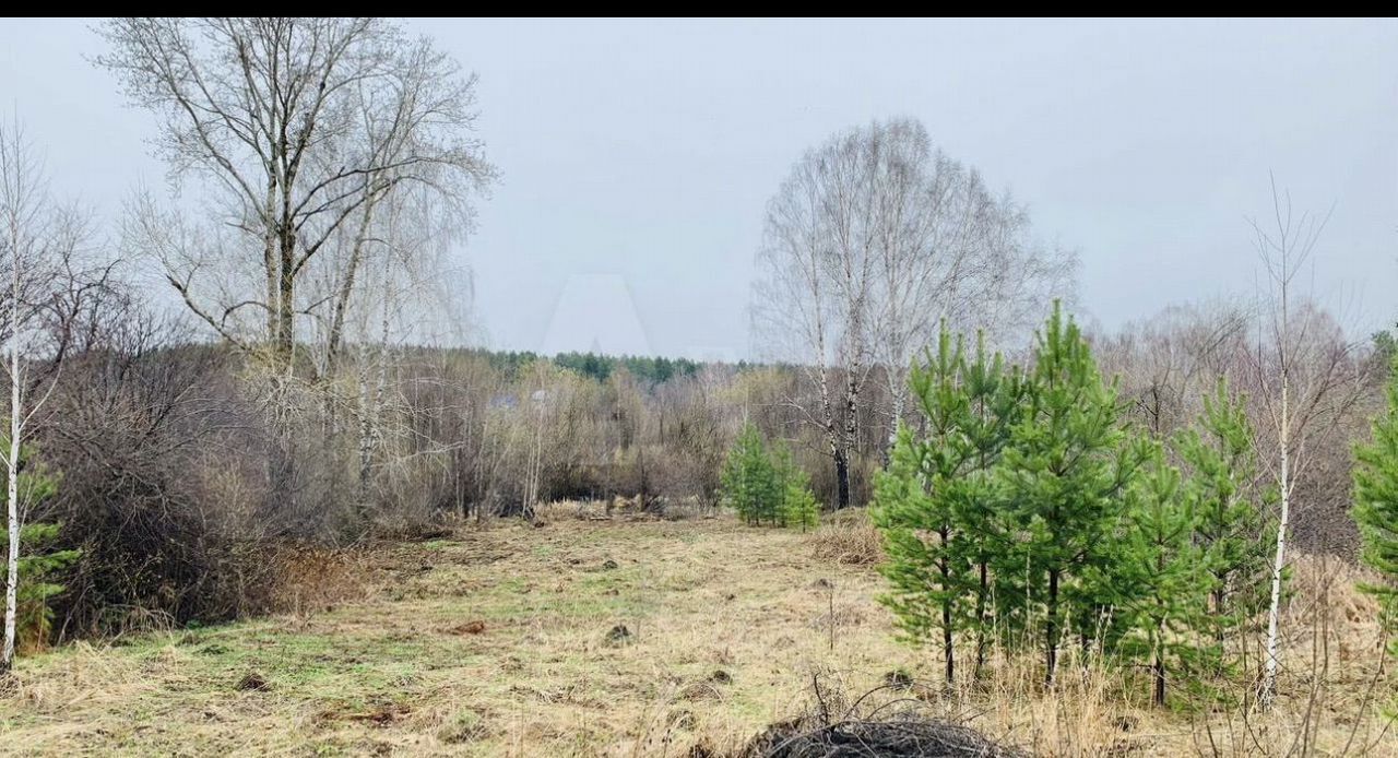 земля г Полевской п Красная Горка фото 7