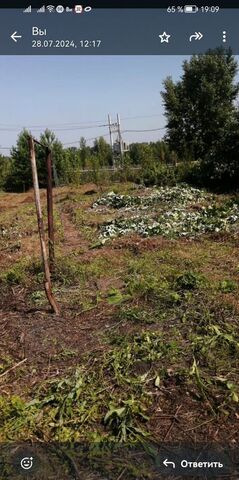 р-н Орджоникидзевский Кемеровская обл. — Кузбасс, СНТ Оазис фото
