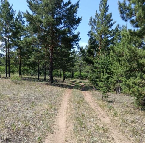 земля р-н Октябрьский тракт Спиртзаводской, 4А фото