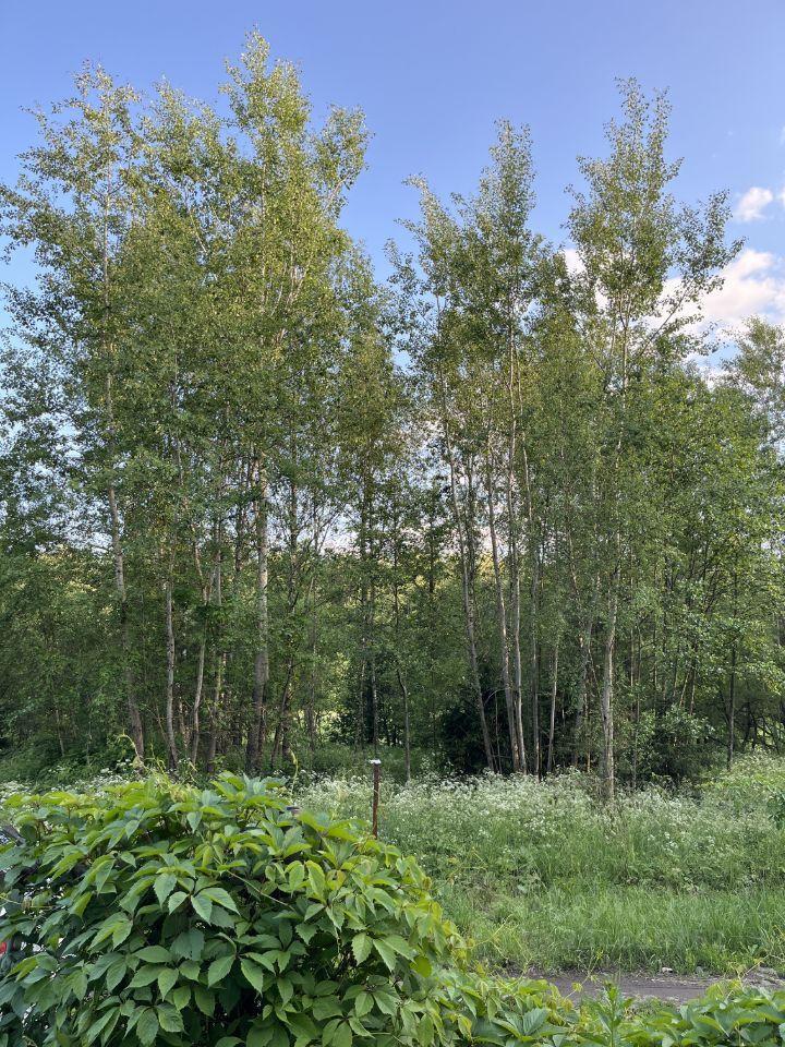 дом г Подольск мкр Климовск снт Полянка 121 фото 13