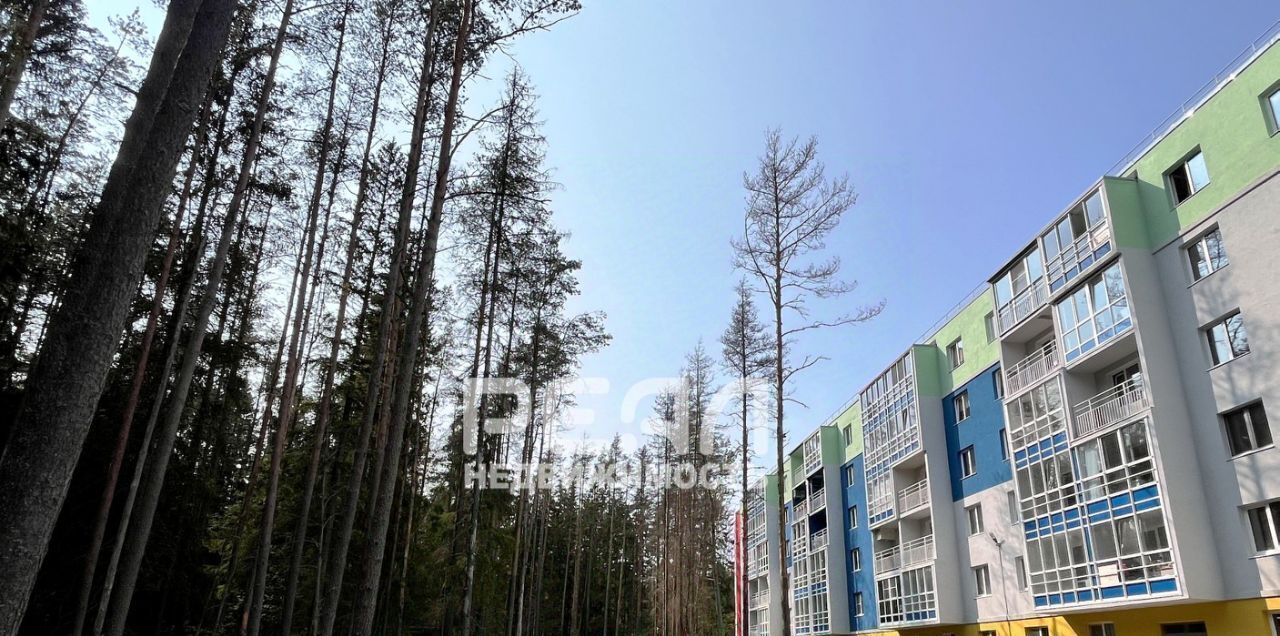 квартира г Зеленогорск Курортный ул Строителей 3к/2 фото 3