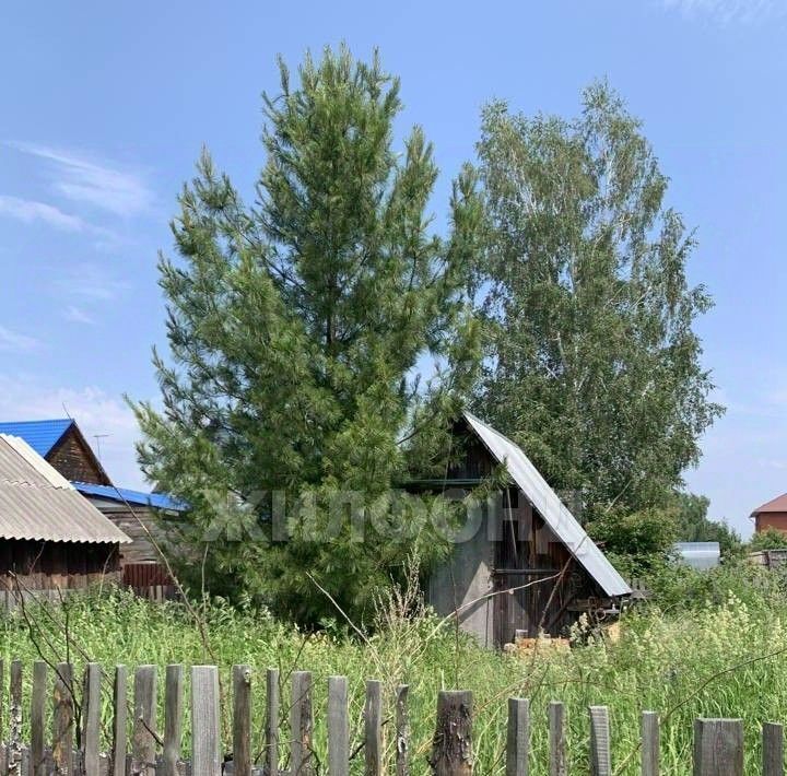 земля г Томск р-н Ленинский пл Ленина 4 фото 2