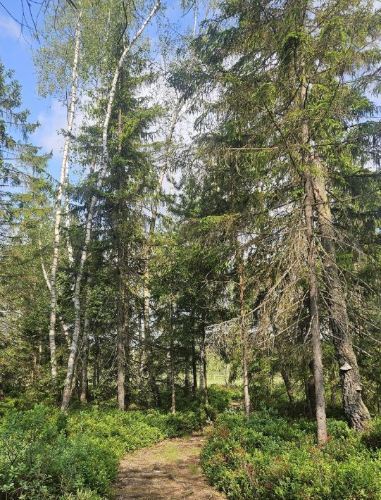 земля городской округ Одинцовский г Звенигород р-н территория Хуторок фото 10