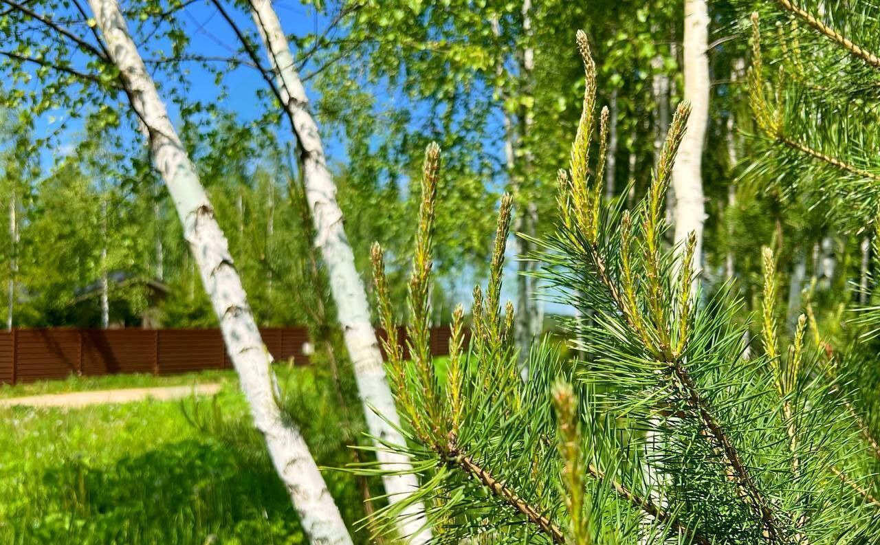 земля г Ступино ул Березовая 57 км, коттеджный пос. Шелково Форест, Михнево, Симферопольское шоссе фото 4