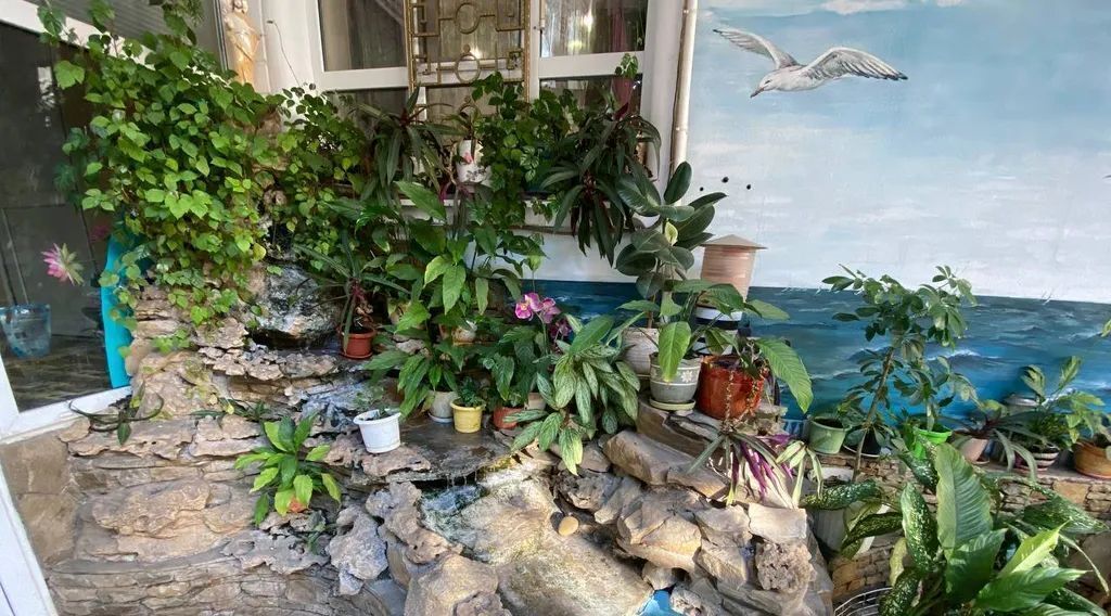 комната р-н Анапский г Анапа ул Новороссийская 26 фото 30