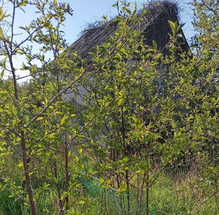 дом г Судак снт Ветеран Керчь городской округ фото 13