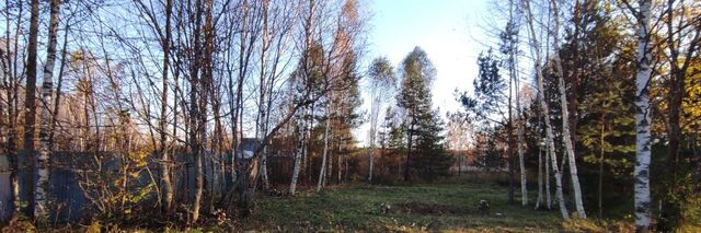 земля д Журавли Бор городской округ фото