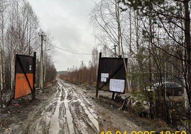 земля р-н Железнодорожный Российская ул, муниципальное образование, Северка фото