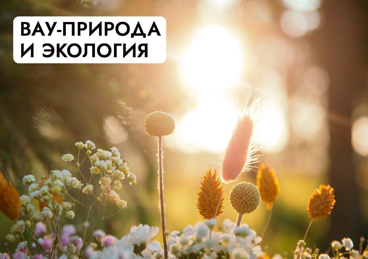 земля г Клин 54 км, эко-посёлок Ели эстейт, Новопетровское, Ленинградское шоссе фото 30