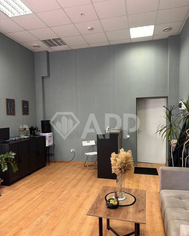 офис г Казань метро Площадь Тукая р-н Вахитовский ул Пушкина 52 Республика Татарстан Татарстан фото 17