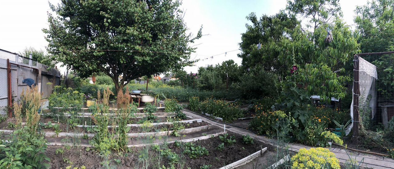 дом р-н Ейский г Ейск п Широчанка ул Зеленая Широчанка фото 3
