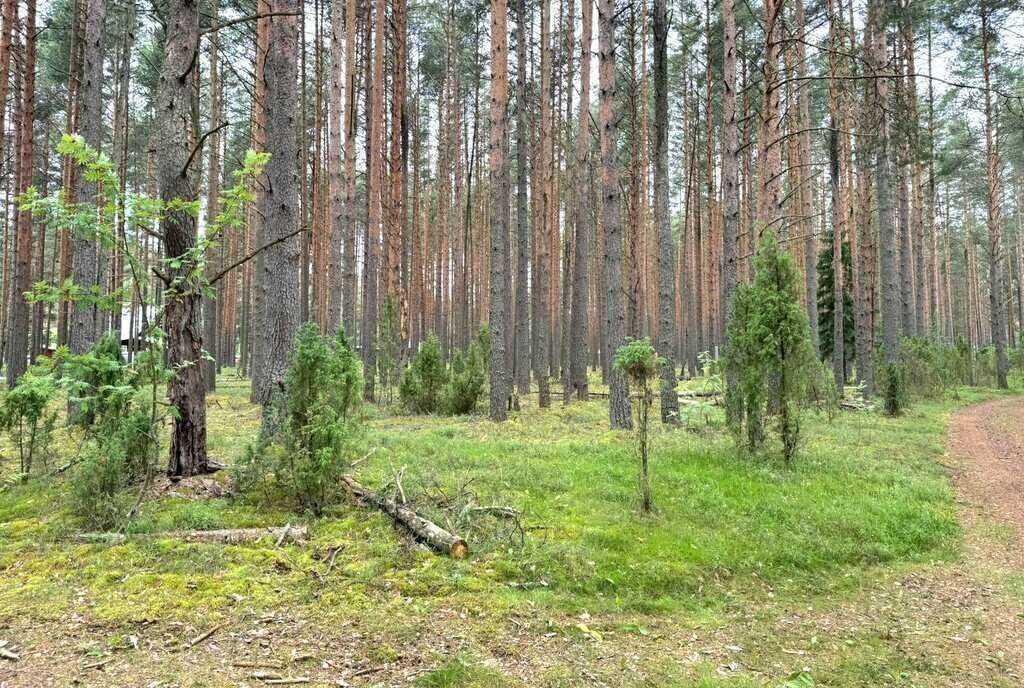 земля г Череповец р-н Зашекснинский 105-й микрорайон фото 1