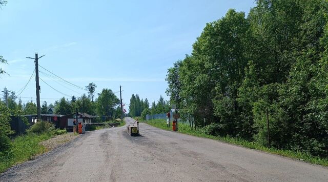 земля снт Родничок Форносовское городское поселение, 1-я линия, 383 фото