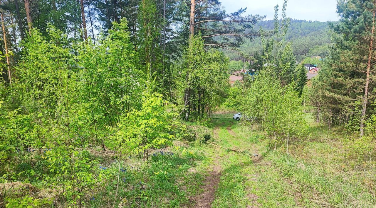 земля г Дивногорск п Манский фото 2