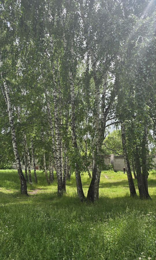 квартира г Сосновоборск ул Энтузиастов 7 фото 22
