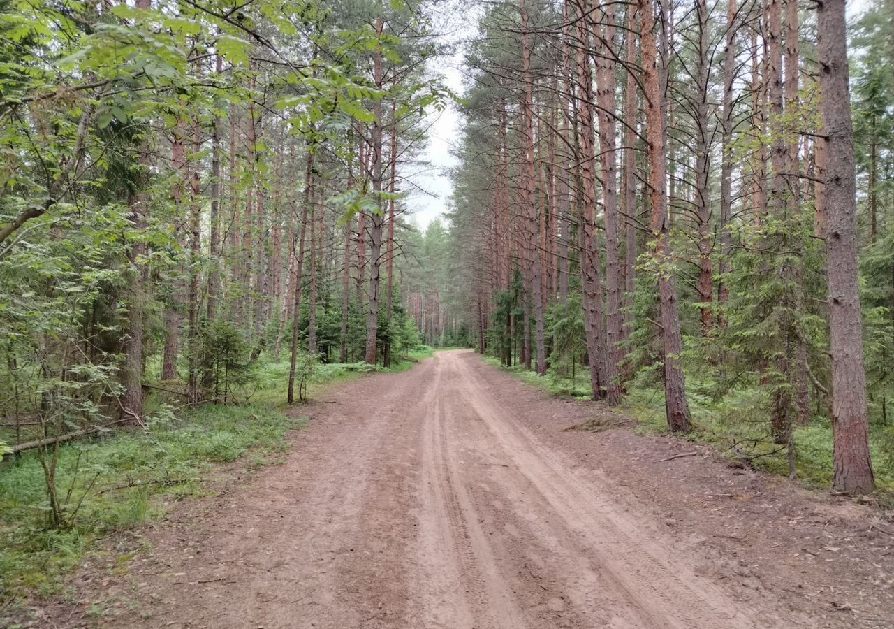 земля городской округ Талдомский г Талдом снт Вербилки-1 ул Восточная 70 км, Вербилки, Дмитровское шоссе фото 3