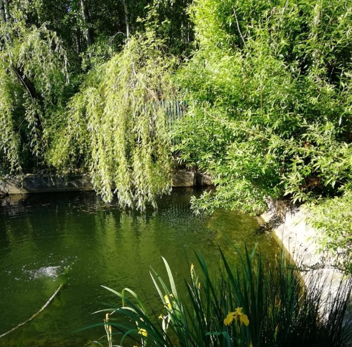 дом городской округ Истра г Дедовск снт Чайка Нахабино фото 26