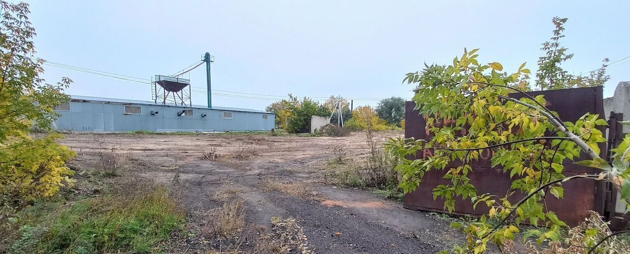 земля г Рубцовск фото 2