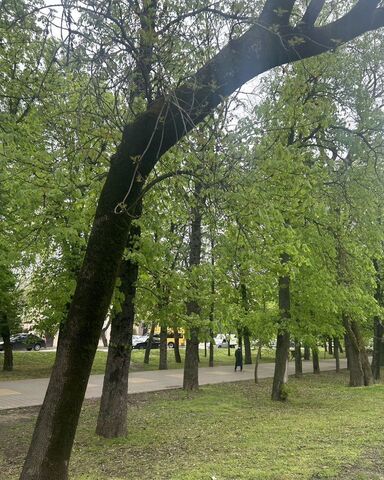 земля р-н Октябрьский садовое товарищество Горка фото